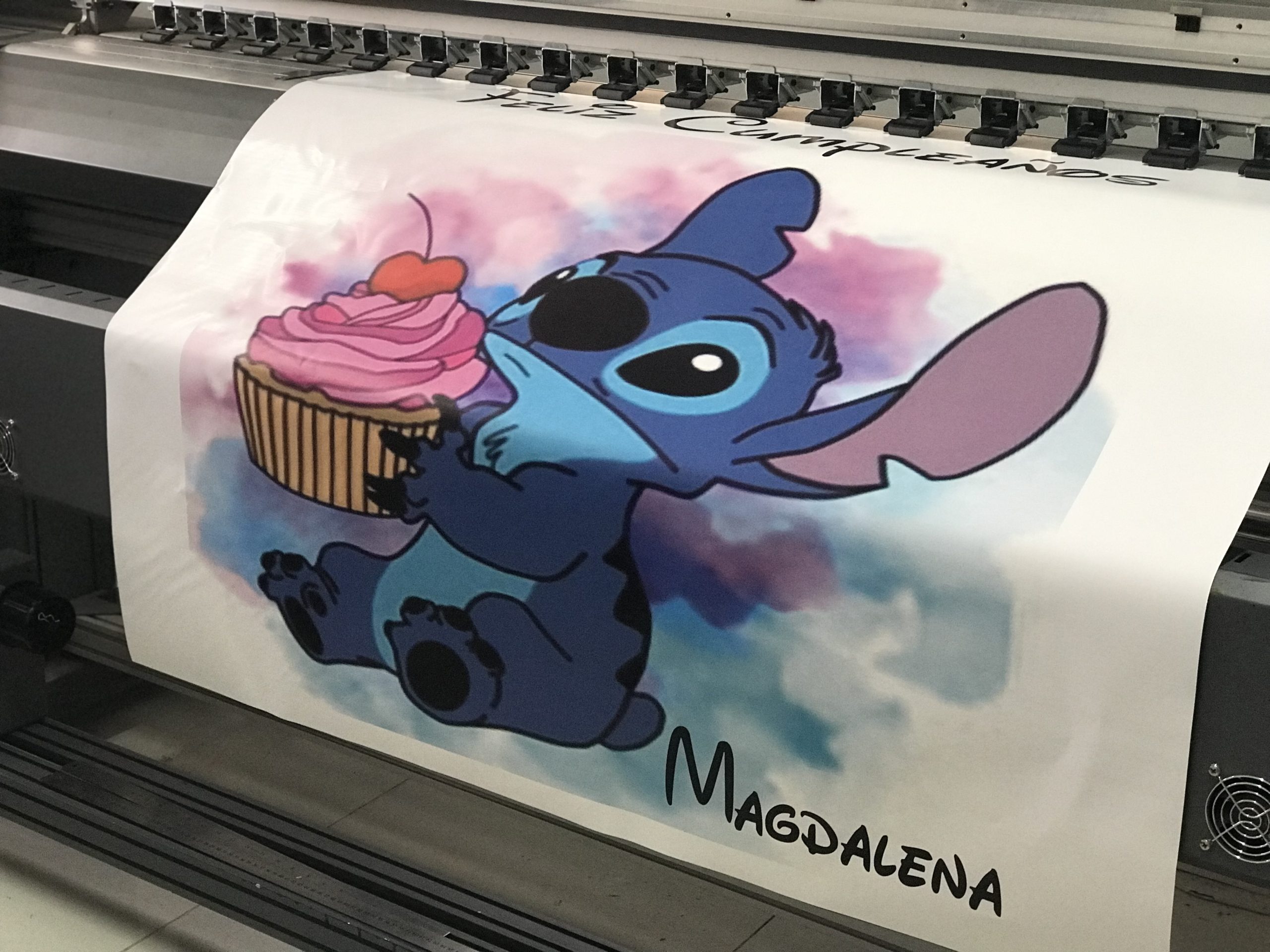 IMG_9604 Lienzo Personalizado de Cumpleaños - Imagen 1