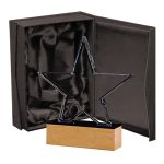 Galvano Cristal con Base de Madera RIV24